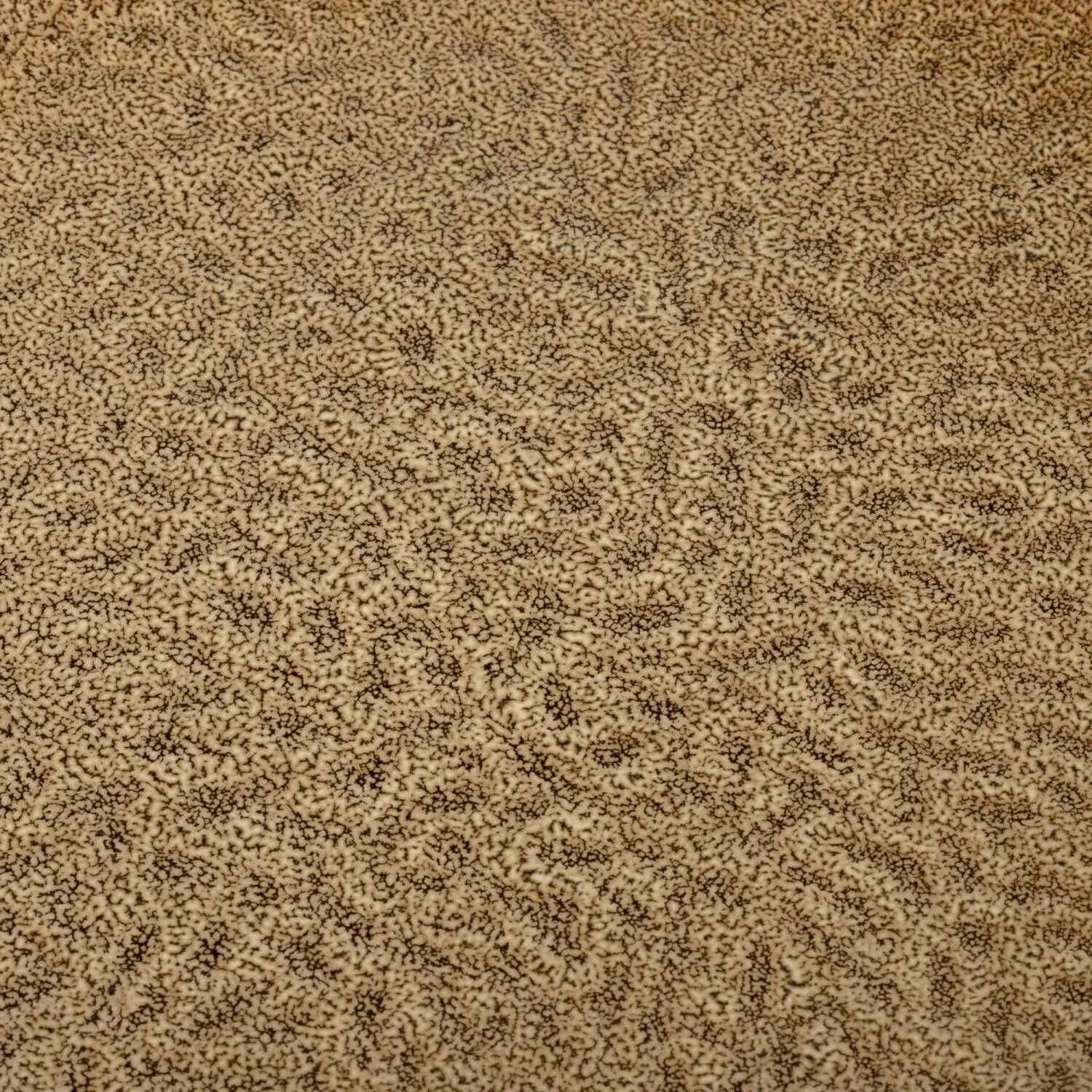 Leonardo Tellerset MATERA 12-teilig Beige Keramik – Bild 10