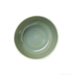 ASA Salatschale Saisons Agave, 22 Cm