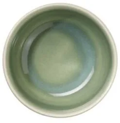 ASA Schale Saisons Agave, 9 Cm