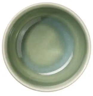 ASA Schale Saisons Agave, 9 Cm