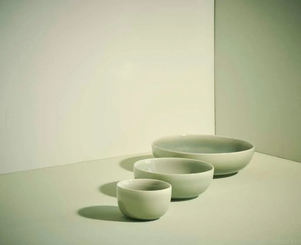 ASA Schale Saisons Agave, 9 Cm – Bild 5