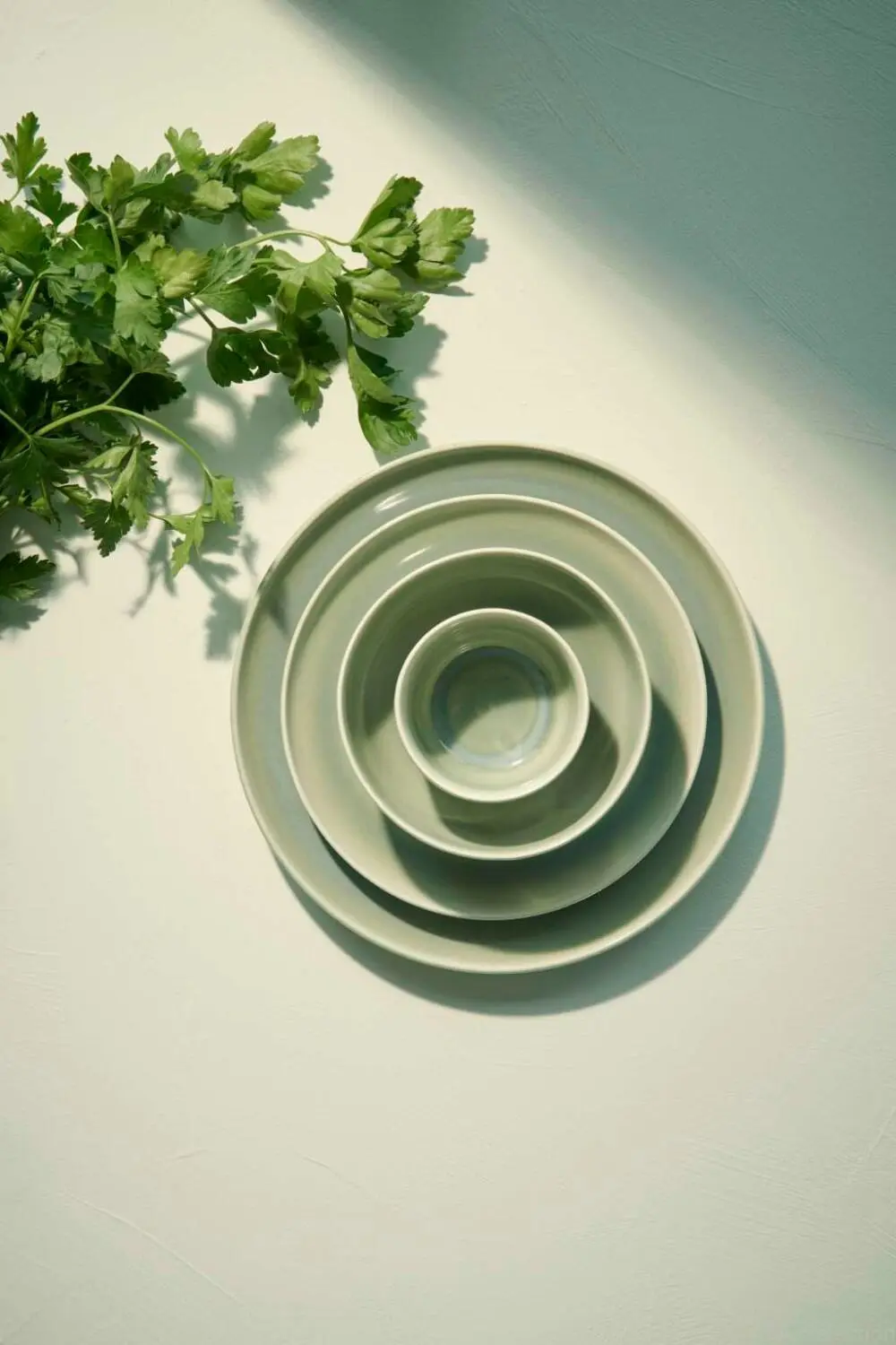 ASA Schale Saisons Agave, 15 Cm – Bild 3