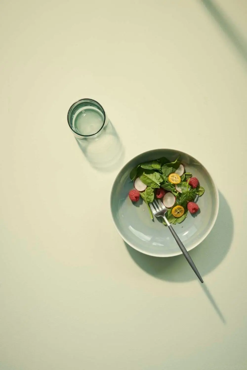 ASA Pastateller Saisons Agave, 21 Cm – Bild 4